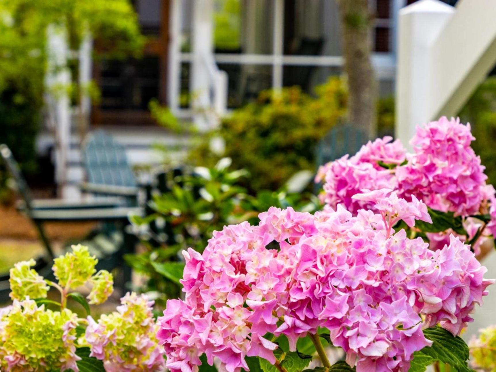 River Dunes Oriental Exterior foto